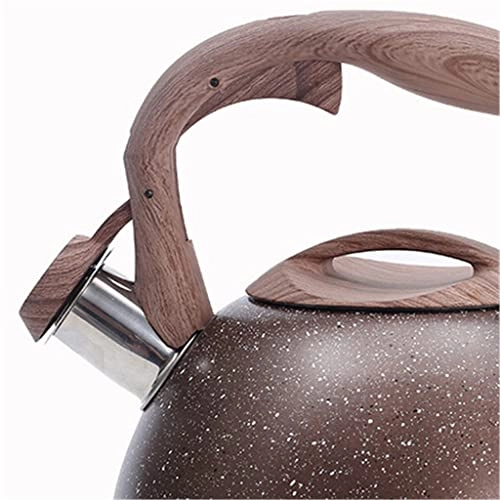 Stovetop Induction Whistling Kettle - 5L