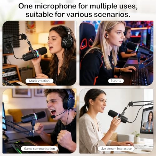 YQW0056 XLR+USB Microphone