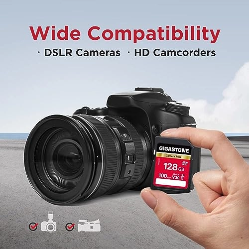 SDXC Memory Card - 128GB + Mini Cases