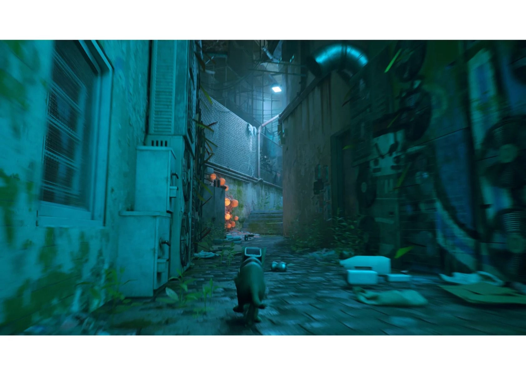 Stray - PlayStation 4