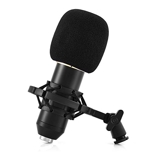 BM-900 USB Microphone