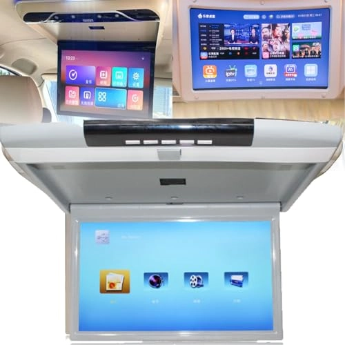 MP5 Ceiling Display - 17.3 Inch