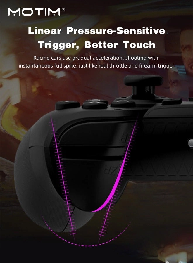 6-Axis Handle Controllers - Black Nintendo Switch