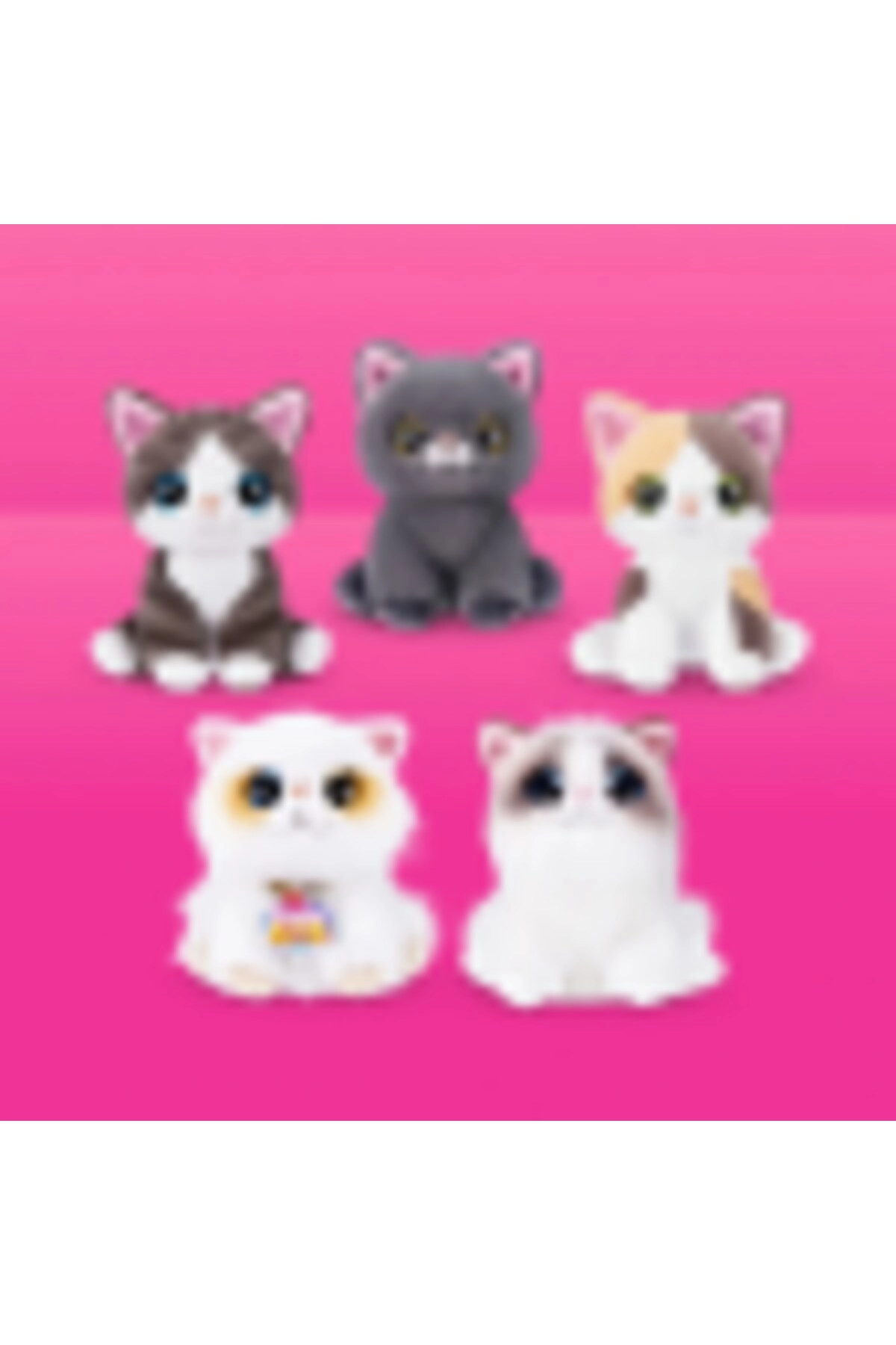 Pets Alive Smitten Kittens