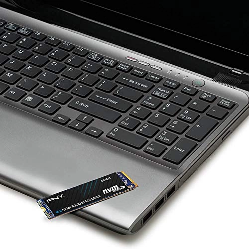 CS1031 - 256 GB M 2