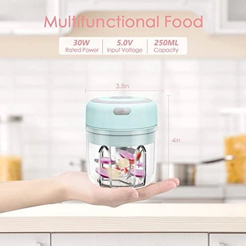 Mini Garlic Chopper - 250ml 30 watts