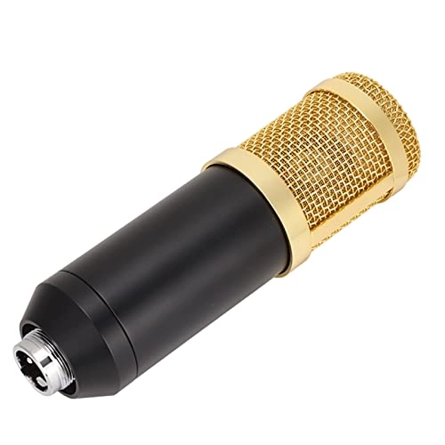 BM800 XLR Microphone