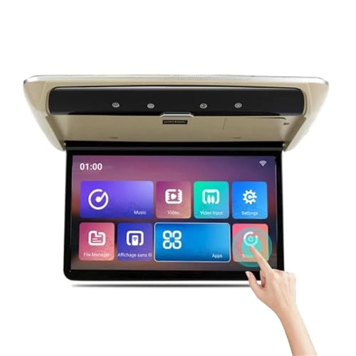 Car Roof Monitor - 13.3 Inch