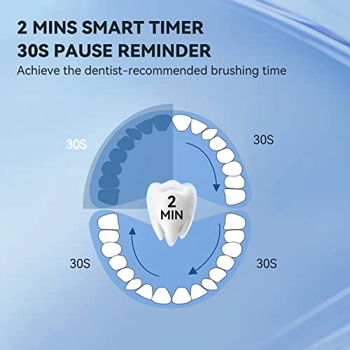 P200 - 6 Brush Heads Travel Case 60 Days
