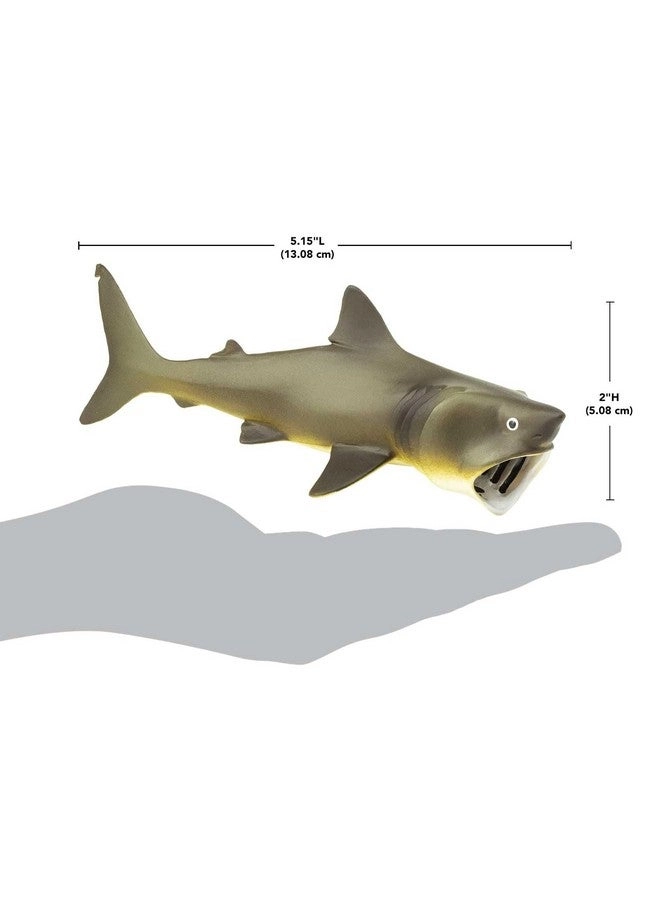 Basking Shark - 5.75" Plastic