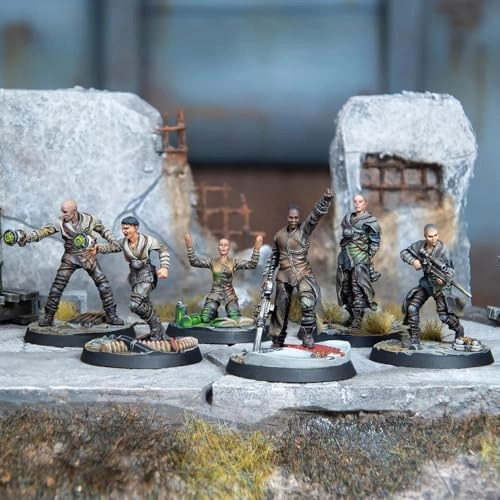 Fallout: Wasteland Warfare: Children of Atom: Zealot Congregation