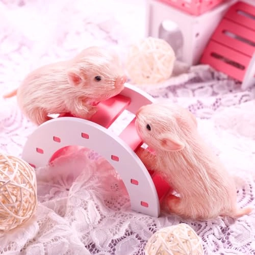 Reborn Pig Doll - 5 Inch Silicone 2 Pieces Ages 6+