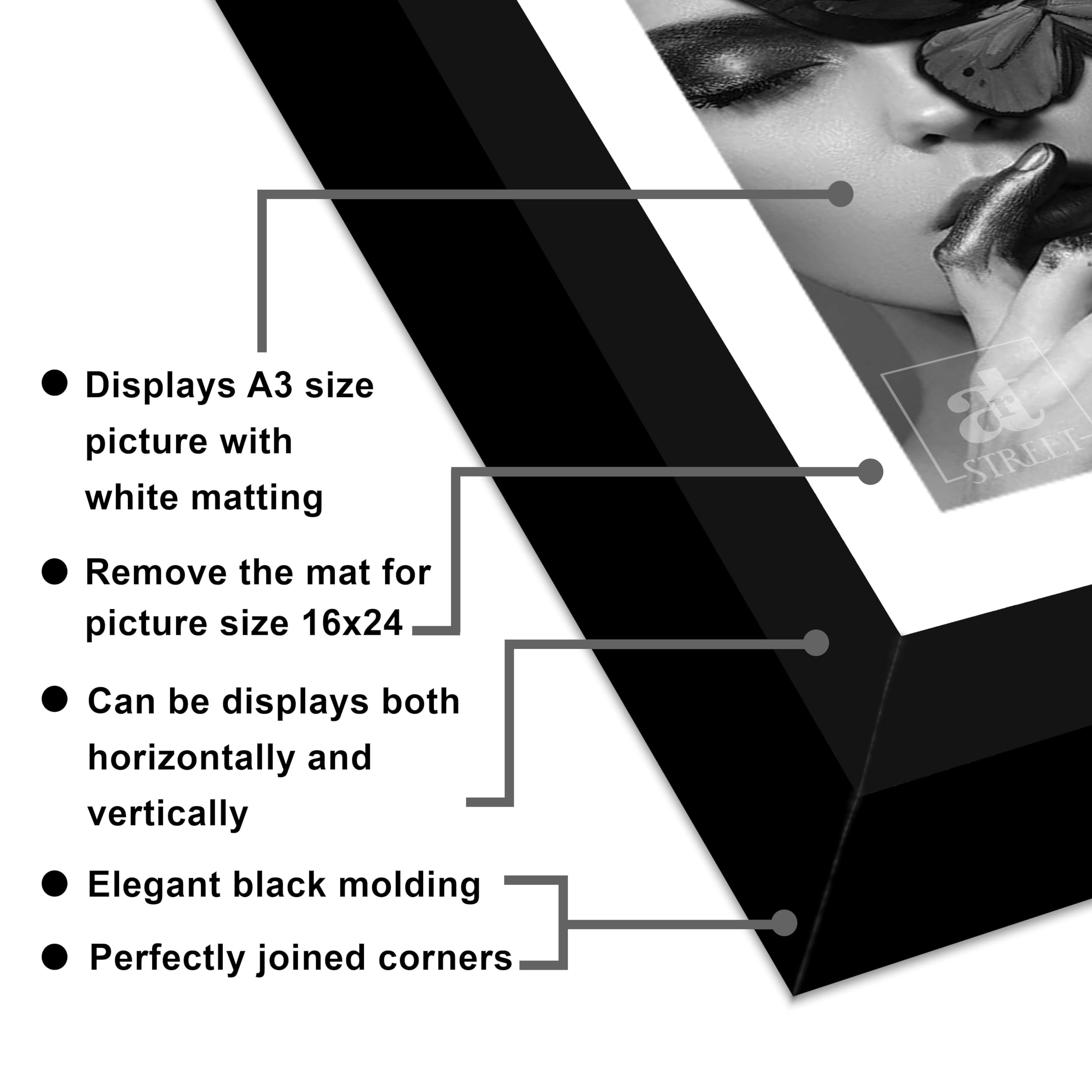 Document Frame - 16x24 Inch