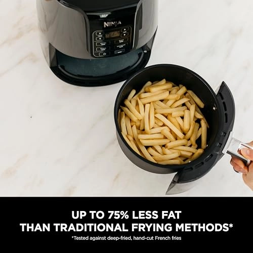 Air Fryer AF100