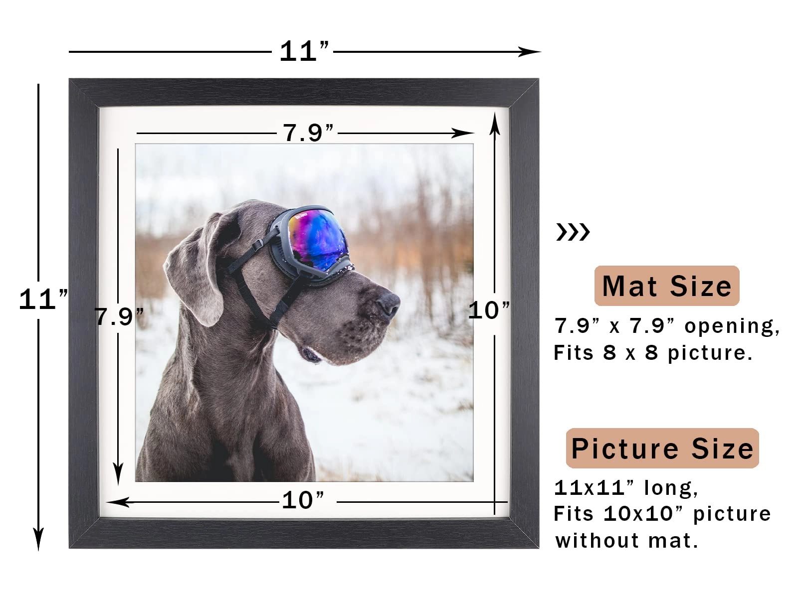 Picture Frame - 10x10