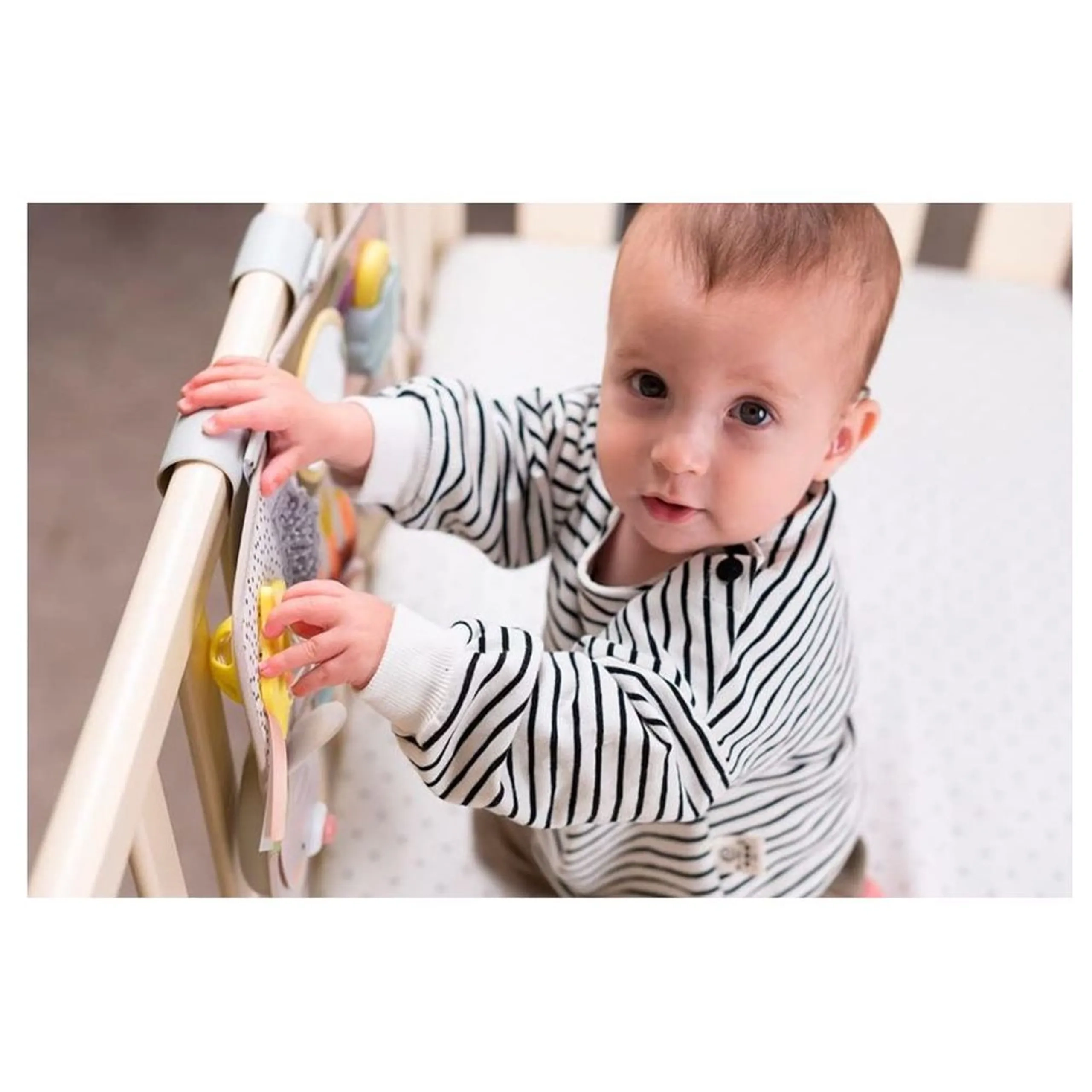 Melody Bloom Gym - 0 month & above