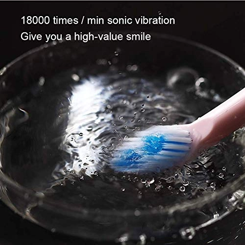 Sonic electric toothbrush - IPX7 USB rechargeable 3 brush heads