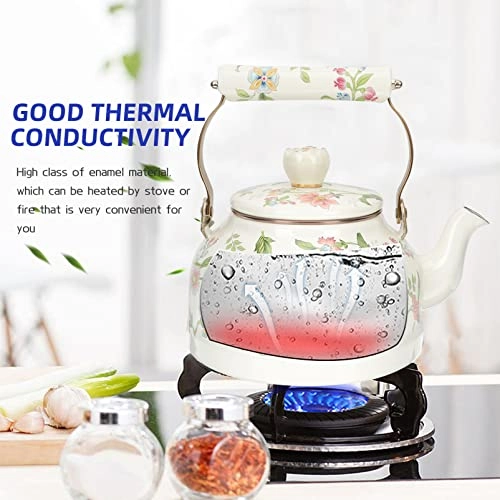 Glass Teapot - Enamel 2.5 Liters