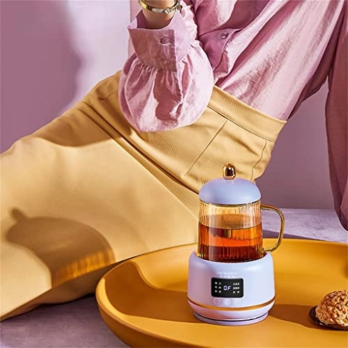Temperature Control Smart Kettle