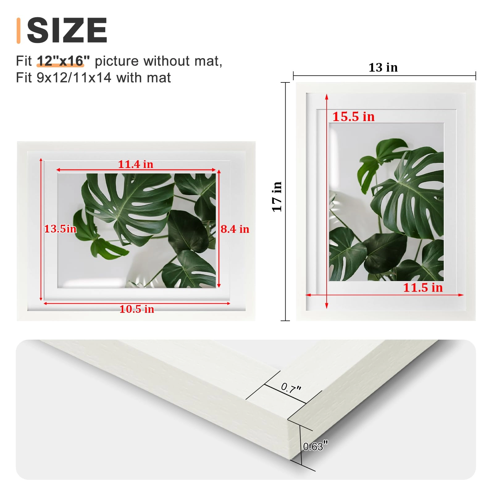 picture frames - 12x16