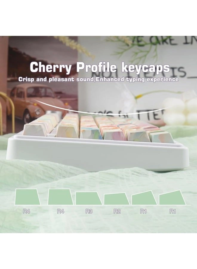 Garden Oil Painting PBT Keycap Set - 133-Key