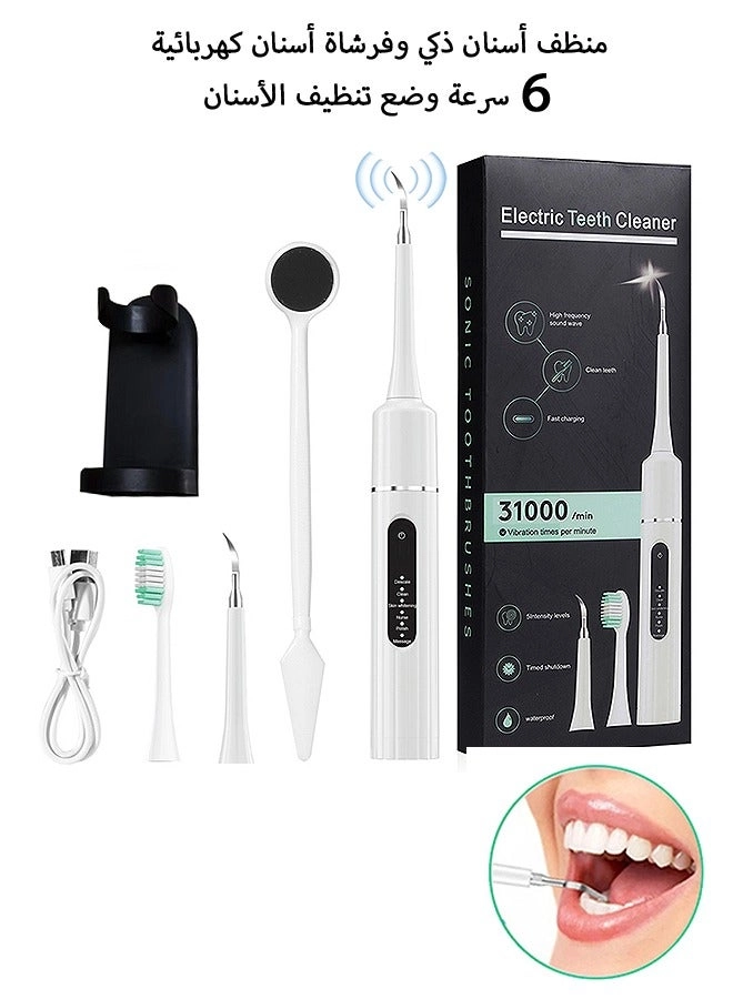 Electric Toothbrush - Water Flosser 6 modes USB-C