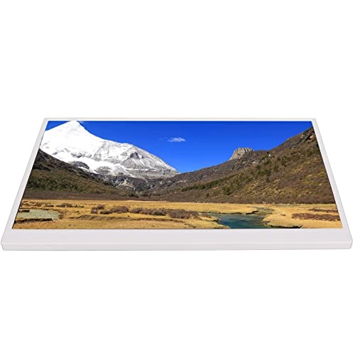 Type C External Monitor - FHD 1080p 17.3 Inches