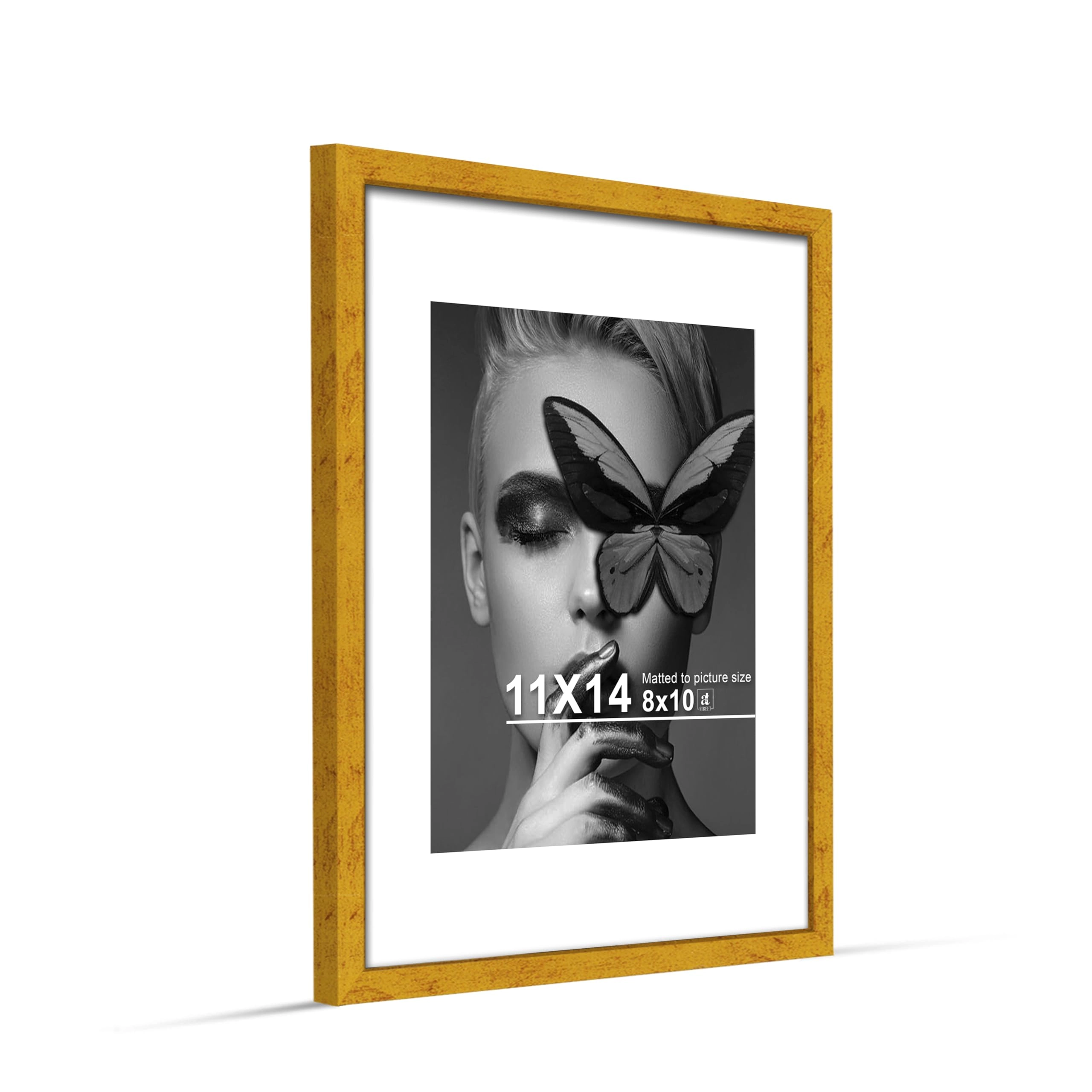 Document Frame - 11x14 Inch