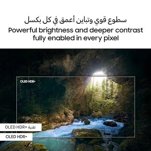 (Renewed) QA65S90DAUXZN - 65 INCH