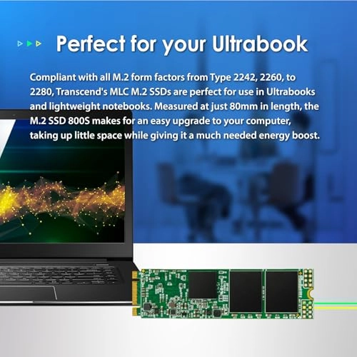 MTS800 - 256GB Type 2280