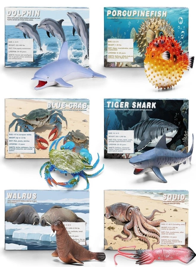 Ocean Animal Toy - 3+ 20 Pcs