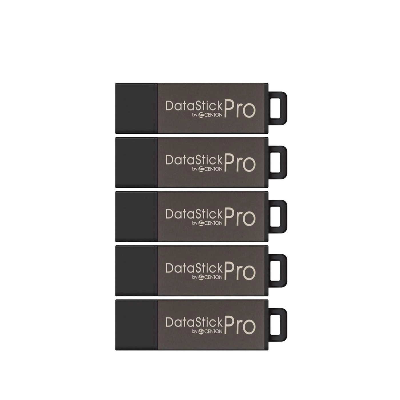Centon DataStick Pro - USB 20 2 GB Bulk Pack
