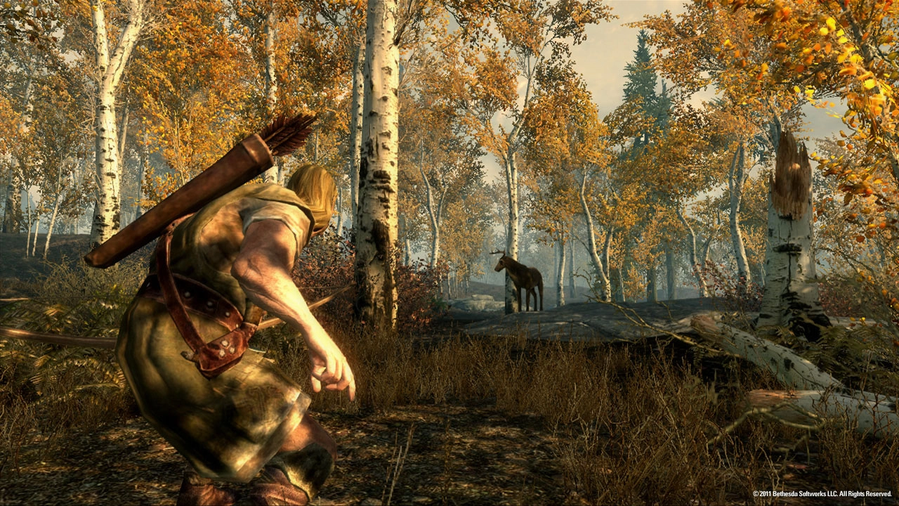 The Elder Scrolls V: Skyrim - PlayStation 3