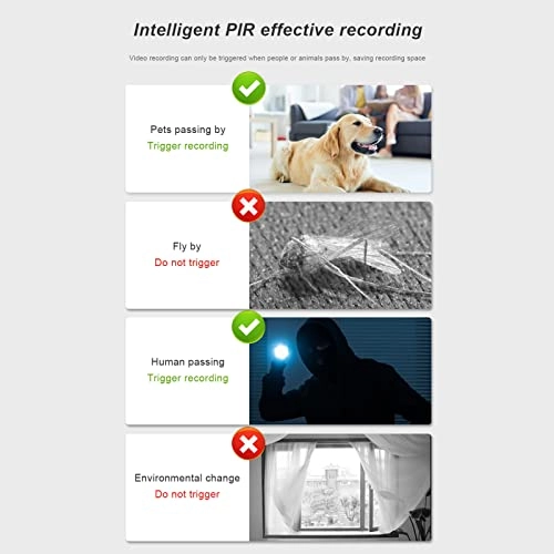 Smart Spotlight 3.0MP