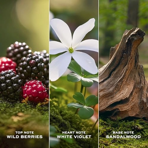 Daisy Eau de Toilette 200ml