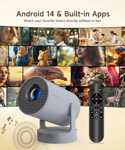 Freestyle HY300 200 ANSI