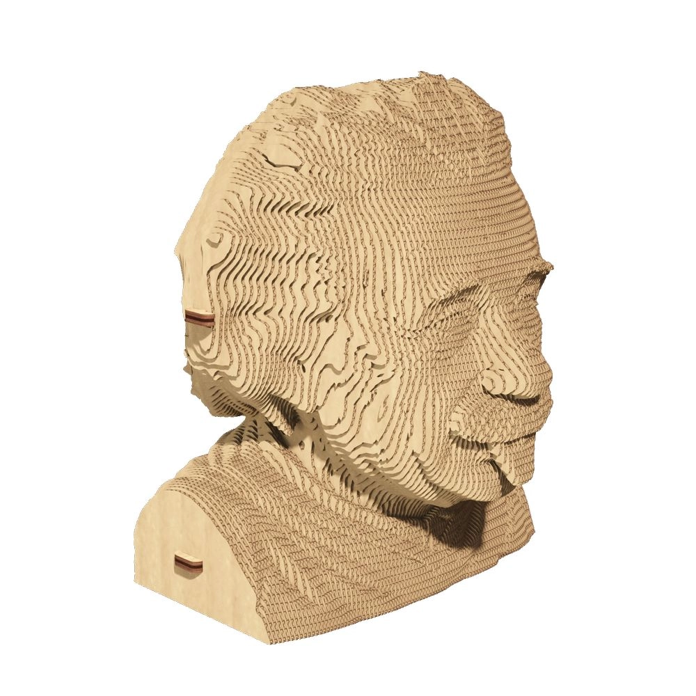Albert Einstein 3D Puzzle (CARTMALB) - 172 pcs