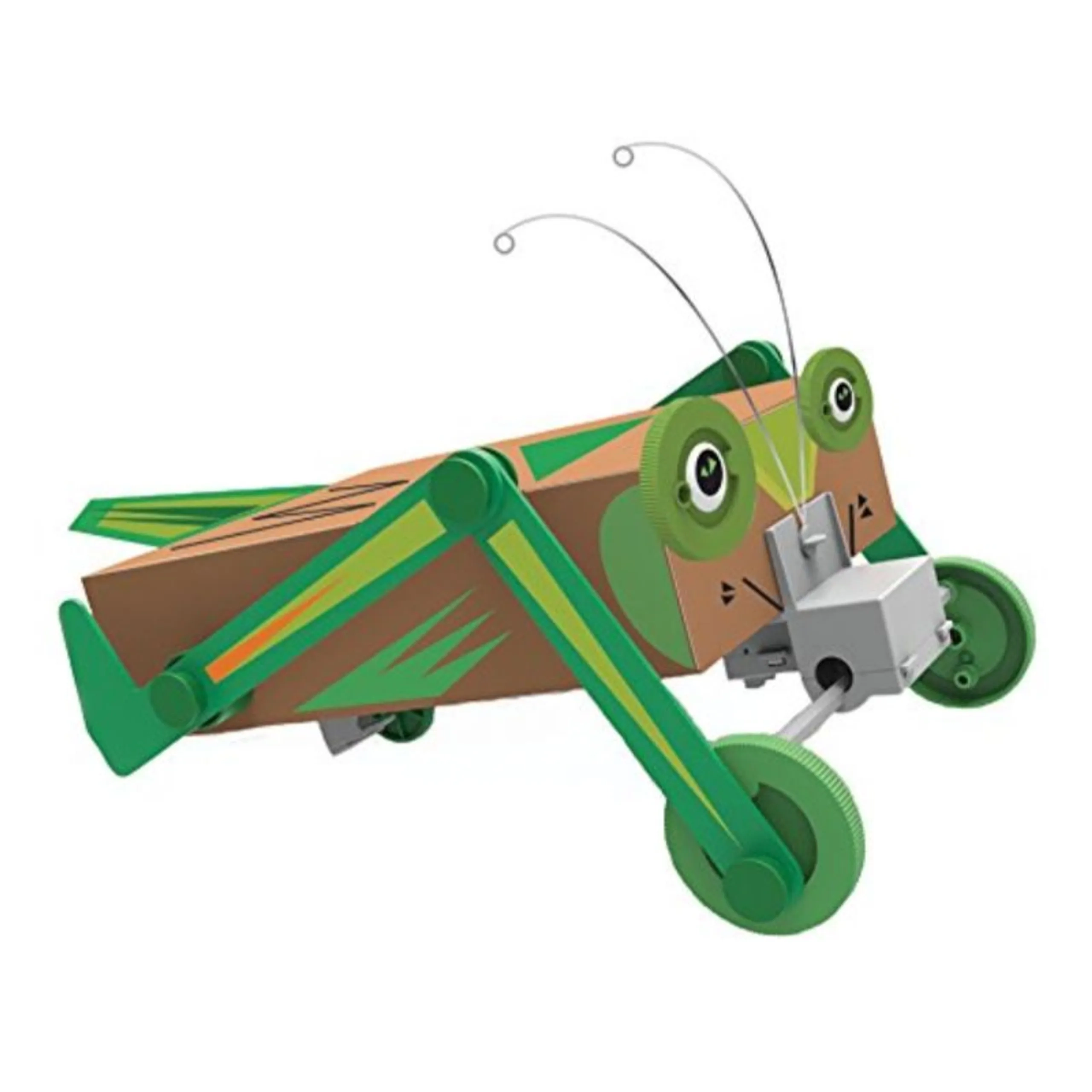 Green Science Box Bug Eco engineering - 8 years+