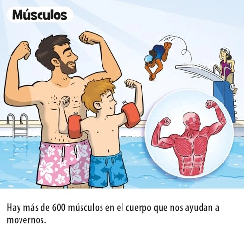 BrainBox Pocket - Core Card Game Spanish Ages 6+