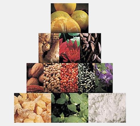 Subtil Eau de Toilette 100ml