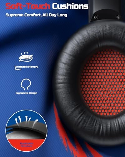 BW02-BT Wireless Headset