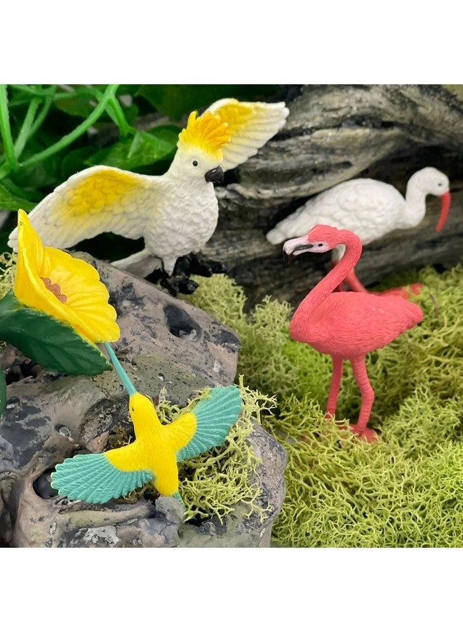 Exotic Birds TOOB 10 pcs