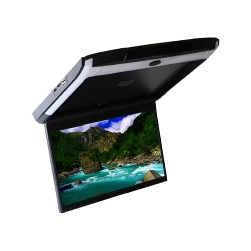 Car Roof Monitor - 12.5 inch