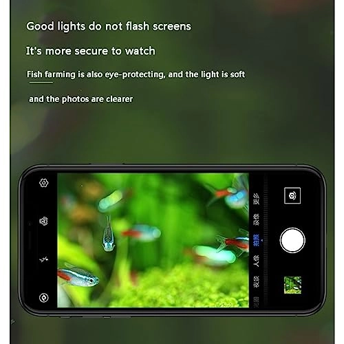 Underwater Diving Light