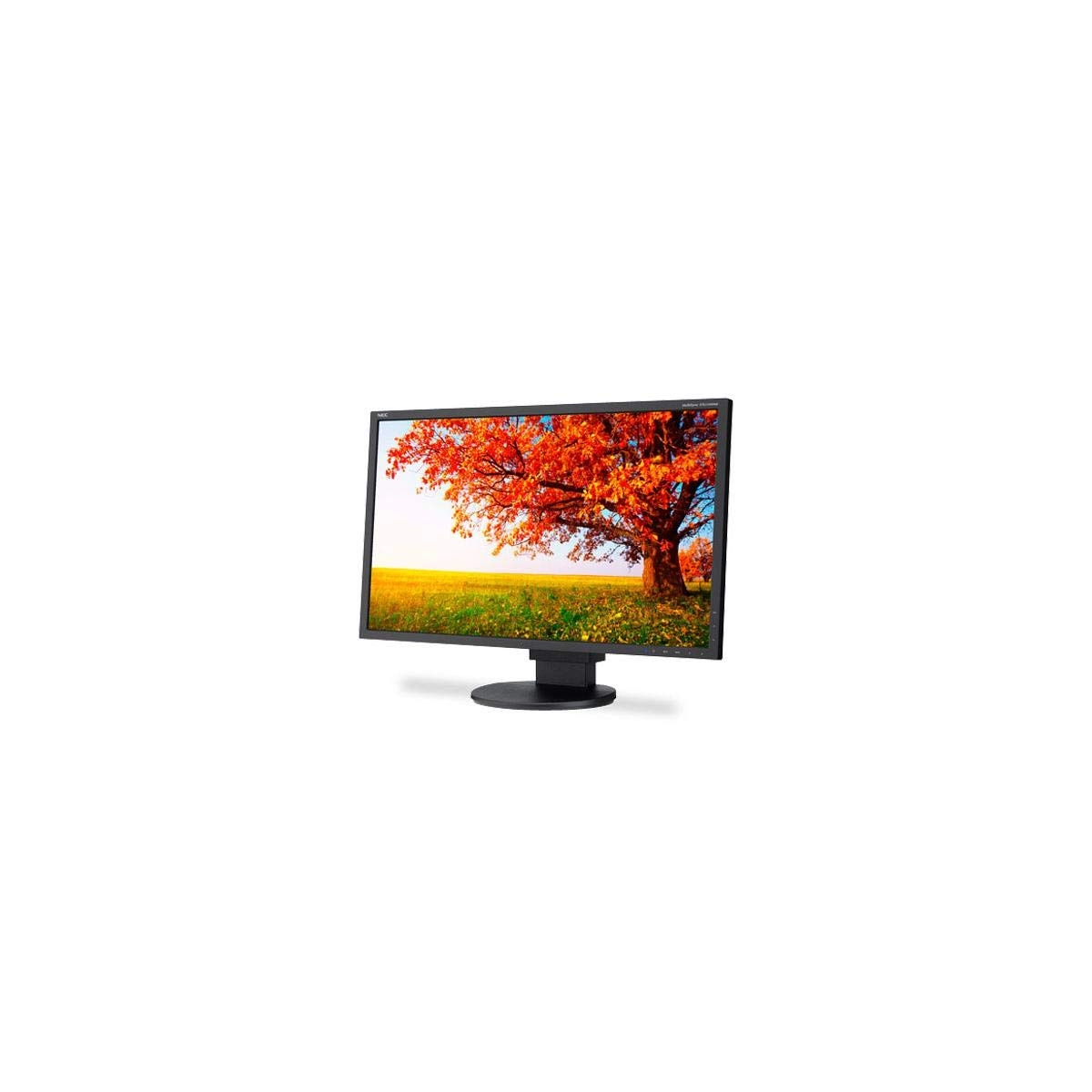 NEC EA224WMI-BK - 21.5 inches 1920 x 1080