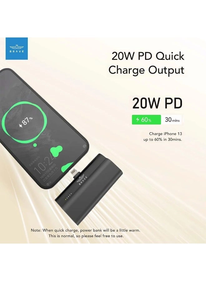 Mini - 5000 Watt-hour 20 Watt