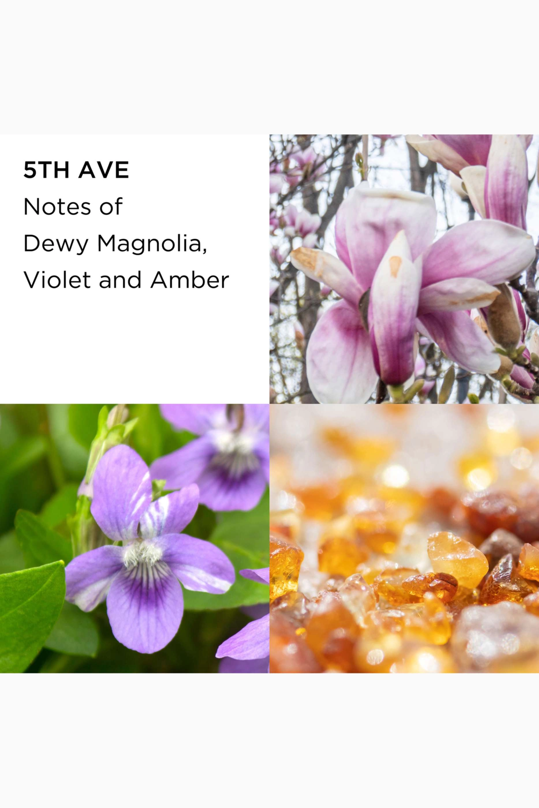 5th Avenue Eau de Parfum Spray - Eau de Parfum 2 piece(s) Gift Set