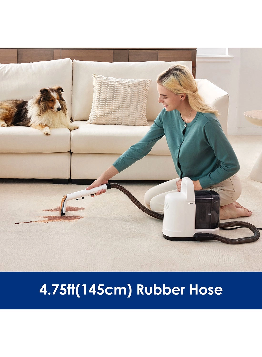 iSpot Cleaner - Floor Cleaner 300 W