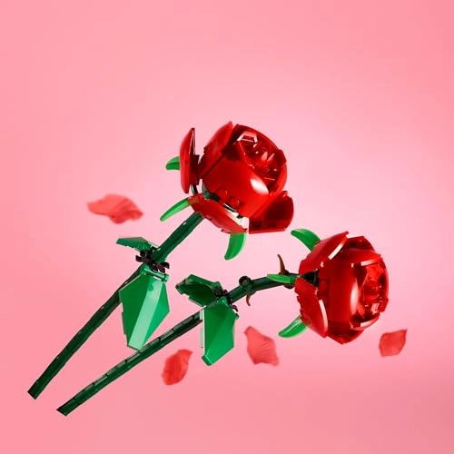 Roses (40460)