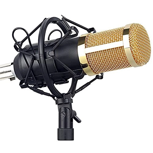 SK-30 USB Microphone